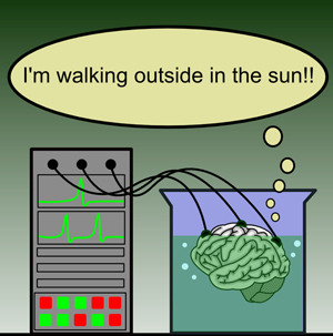 brain in vat
